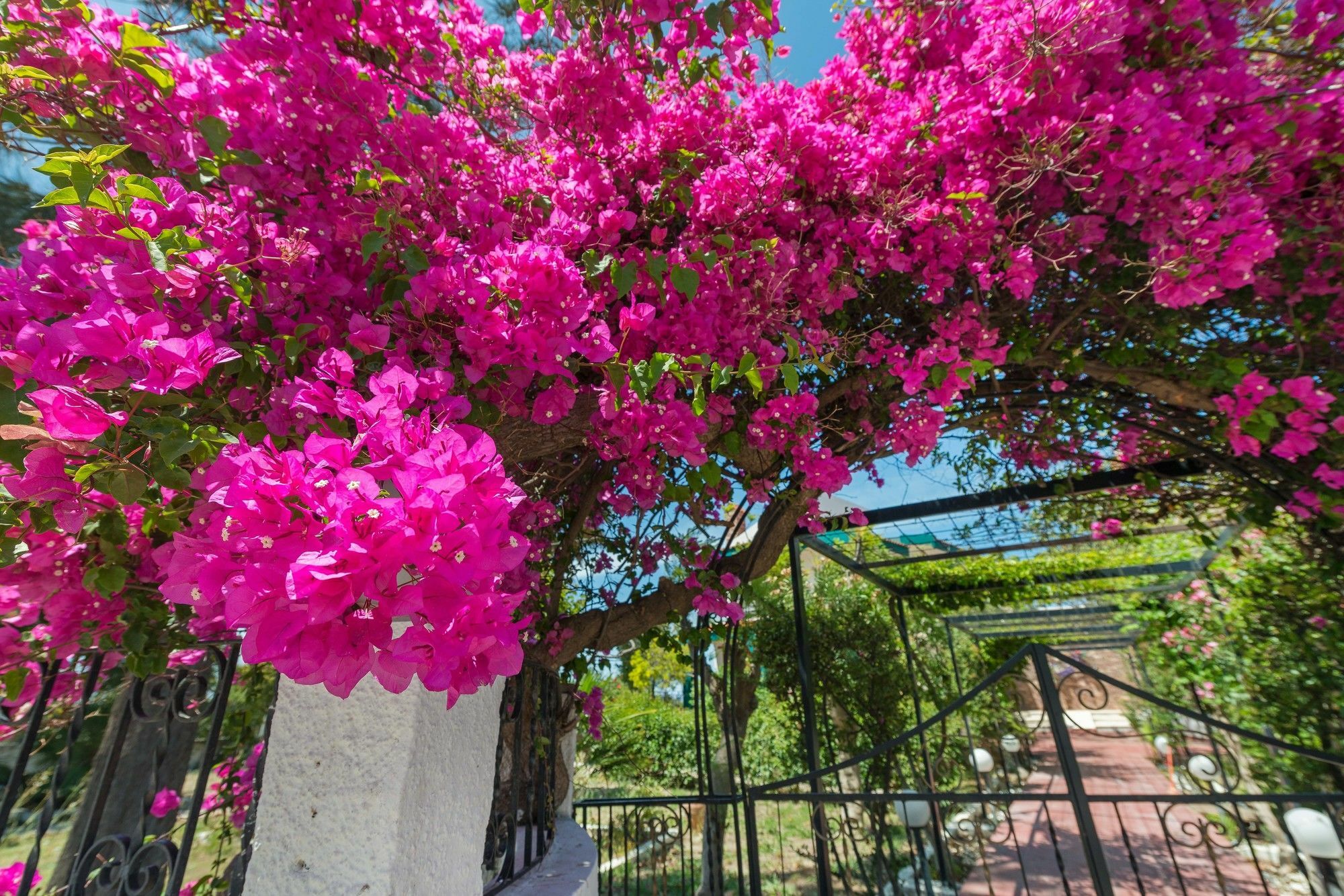 Villas Marianna Kalavárda Dış mekan fotoğraf